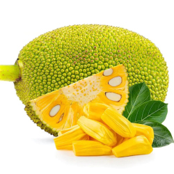 Giới thiệu Quả Mít