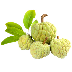 Giới thiệu Quả Na