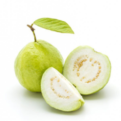 Giới thiệu Quả Ổi