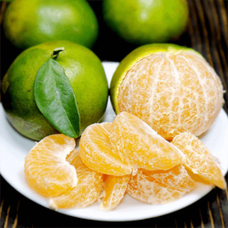 Giới thiệu Quả Quýt
