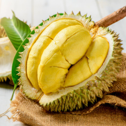 Giới thiệu Quả Sầu riêng