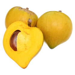 Giới thiệu Quả Trứng gà