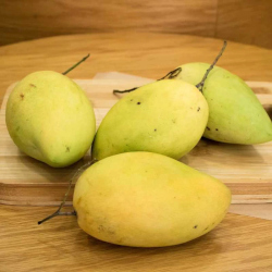 Giới thiệu Quả Xoài chín