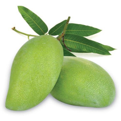 Giới thiệu Quả Xoài xanh