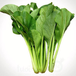 Giới thiệu Rau Cải ngọt