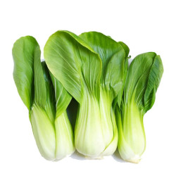 Giới thiệu Rau Cải thìa
