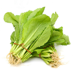Giới thiệu Rau Cải xanh