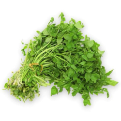 Giới thiệu Rau Cải xoong