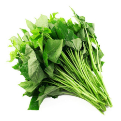 Giới thiệu Rau Khoai lang