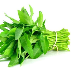 Giới thiệu Rau Muống