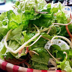 Giới thiệu Rau sống