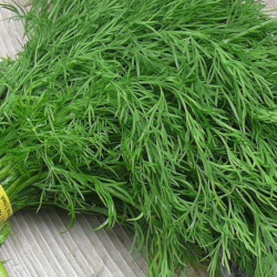 Giới thiệu Rau Thì là