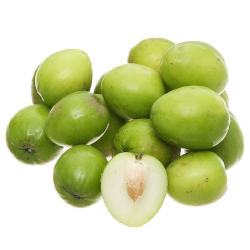 Giới thiệu Táo ta