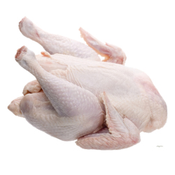 Giới thiệu Thịt Gà