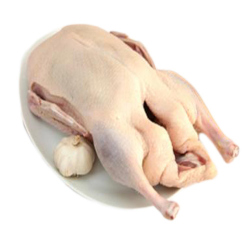 Giới thiệu Thịt Ngan