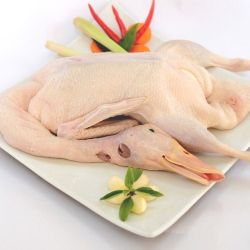 Giới thiệu Thịt Vịt