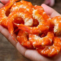 Giới thiệu Tôm khô