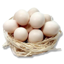 Giới thiệu Trứng Gà