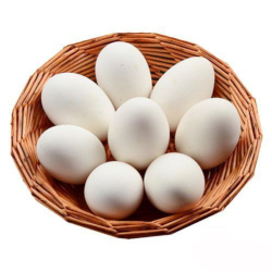 Giới thiệu Trứng Vịt