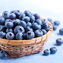 Giới thiệu Việt quất