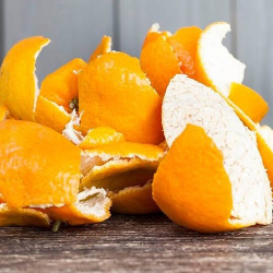 Giới thiệu Vỏ Quýt