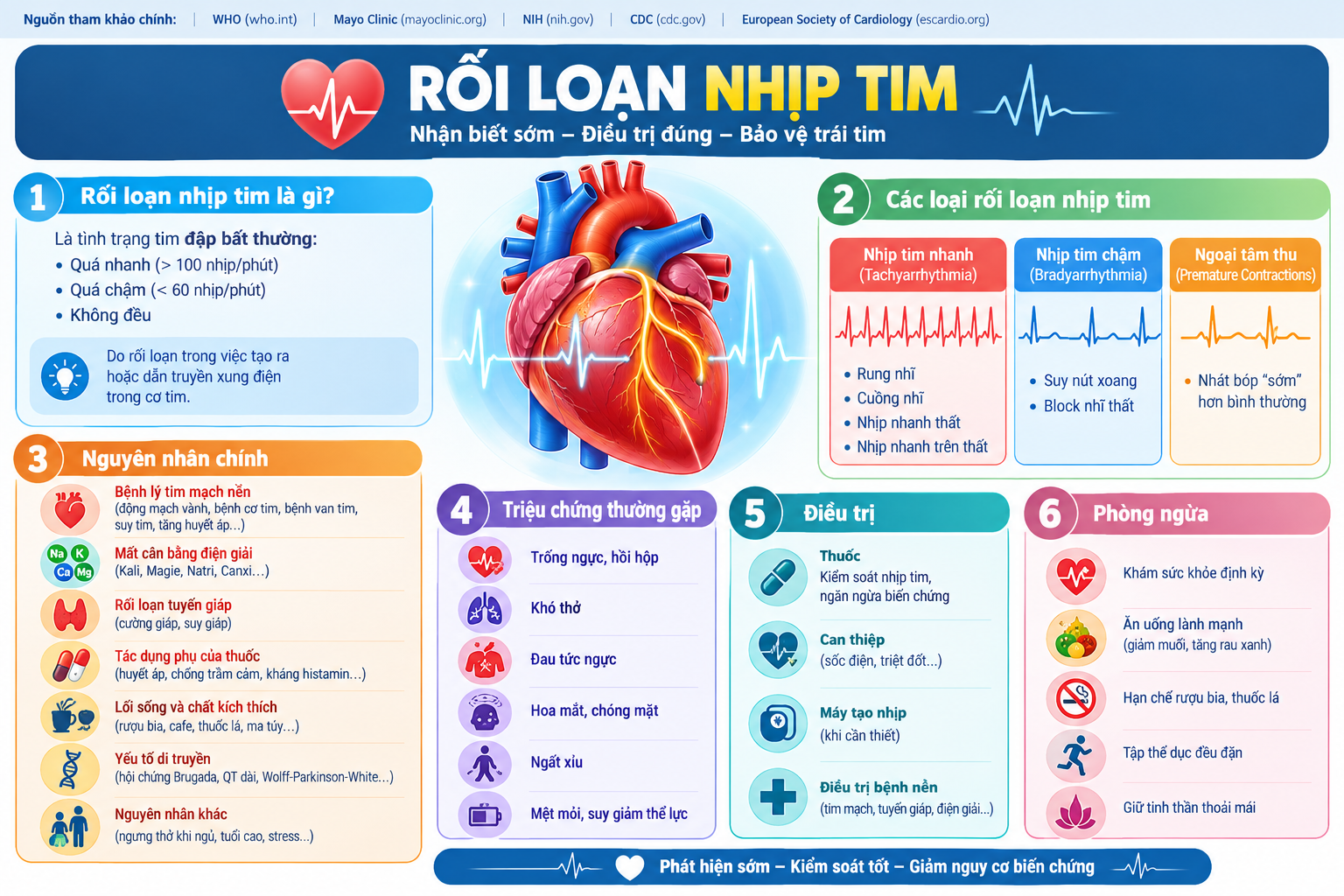 Nghiên cứu về Rối loạn nhịp tim: Từ định nghĩa, nguyên nhân đến cách điều trị và phòng ngừa